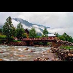 Meet your Posher, Fareeha